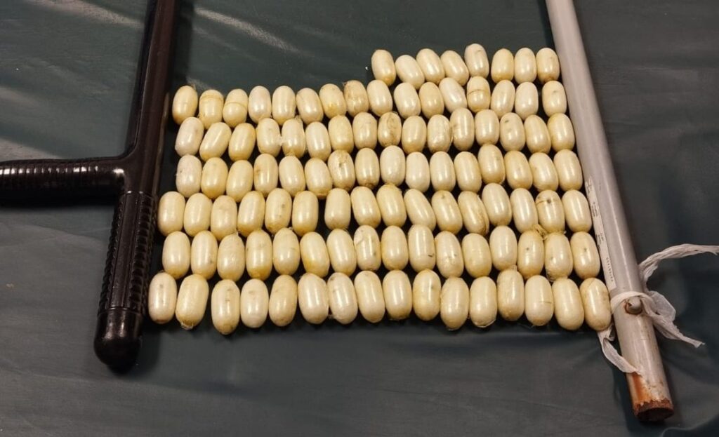 Italian Arrested At Punta Cana Airport With 1kg Of Drugs