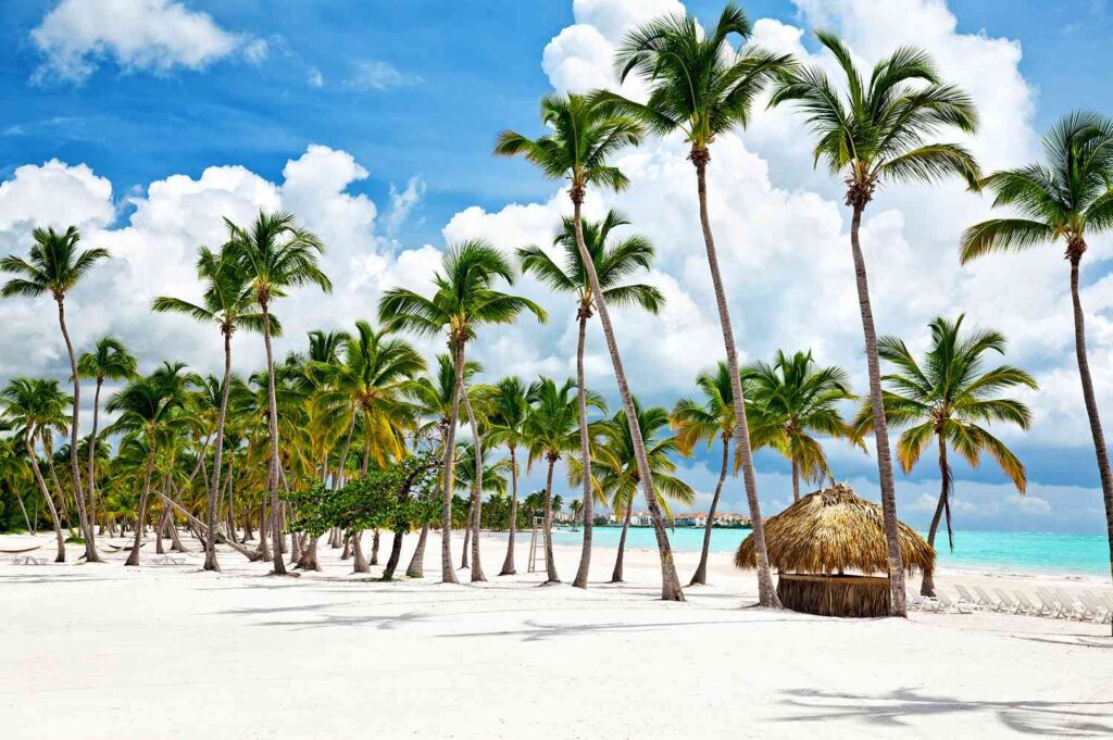 The Budget Airline Has Announced A New Route To Punta