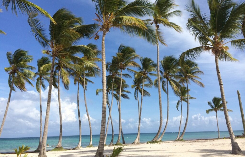 Americans Are Launching A Major Expansion Of Non Stop Flights To